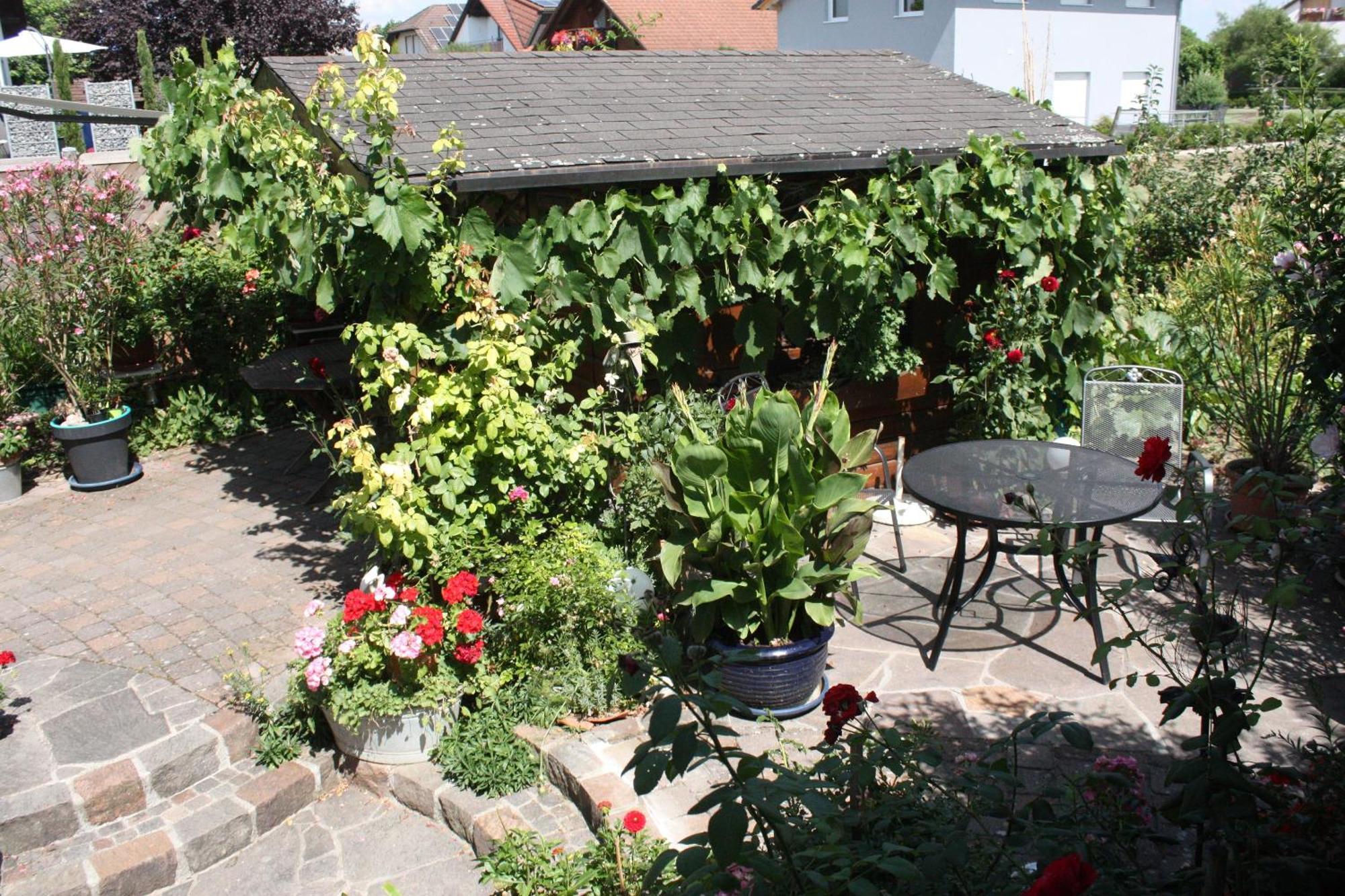 Ferienwohnung Burger Sasbach am Kaiserstuhl Exterior foto