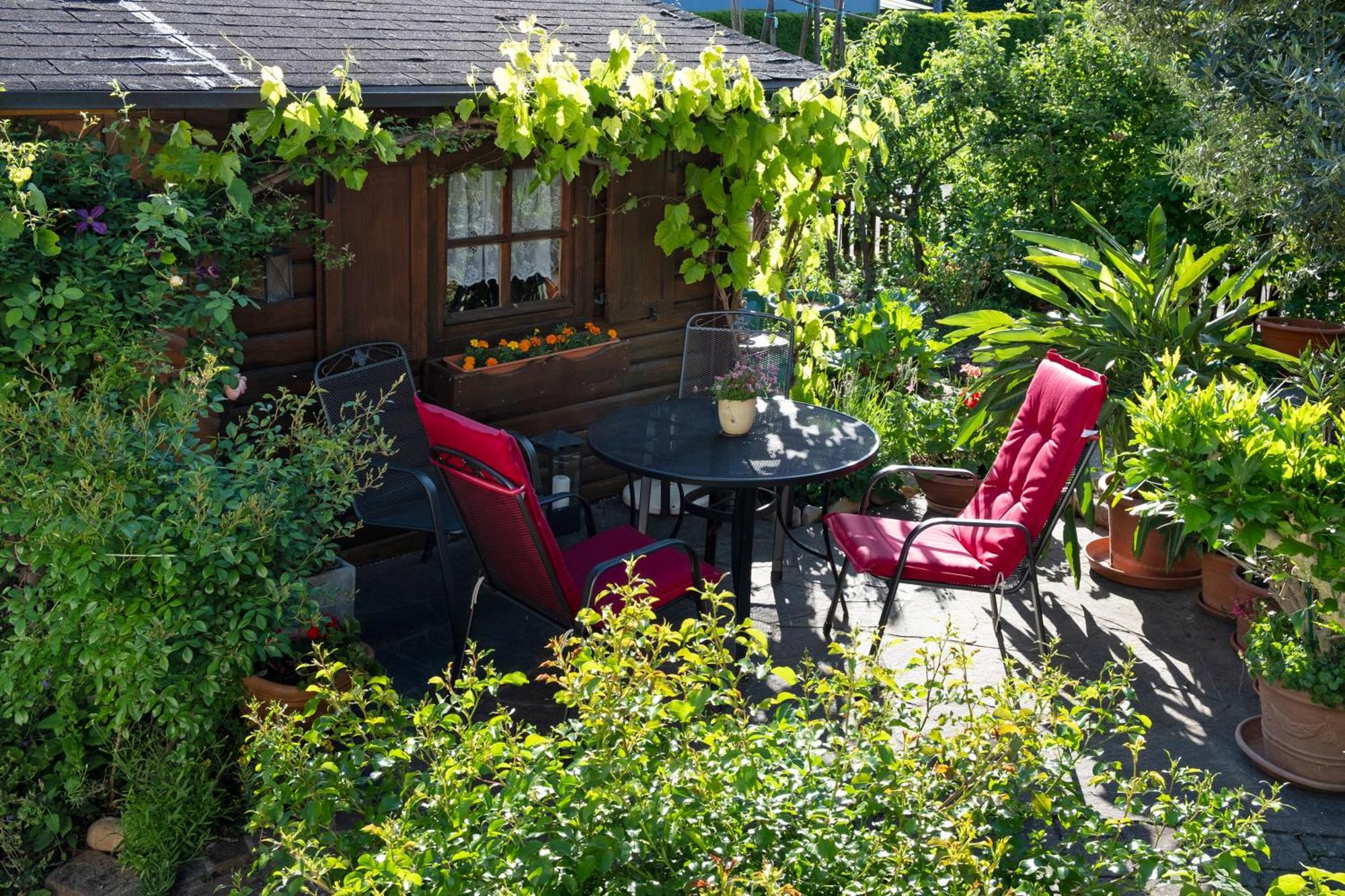 Ferienwohnung Burger Sasbach am Kaiserstuhl Exterior foto